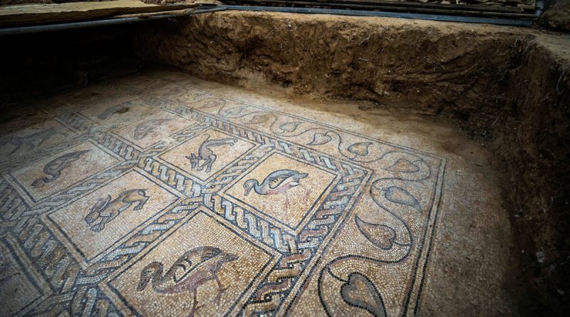 Un contadino scopre un mosaico “eccezionale” di epoca bizantina a Gaza con bestie, uccelli, geometria mozzafiato